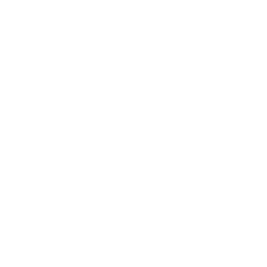 solo stove logo_wht